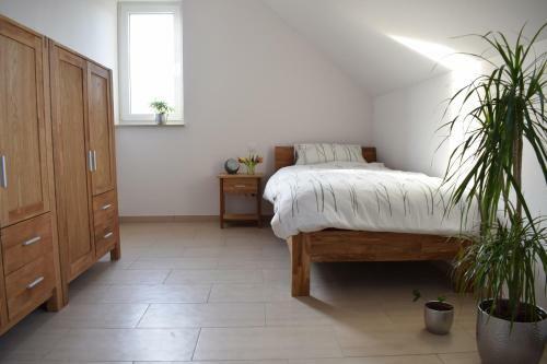 Apartamento Ferienwohnung Wilhelmshof Sinzig