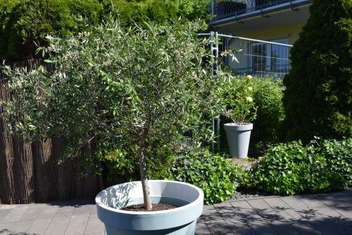Apartamento Ferienwohnung Ahrtalblick