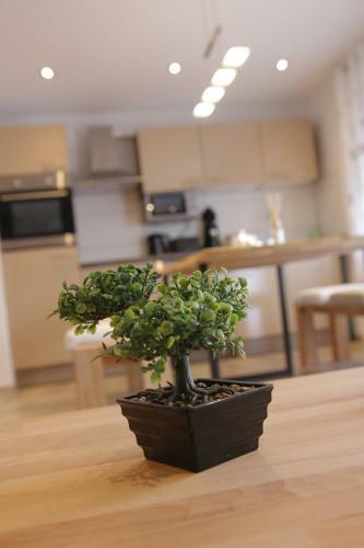 Apartment Claudia