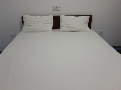Hotel Abia Surf Camp