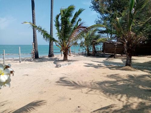 Albergue Air Lush Beach Cabanas