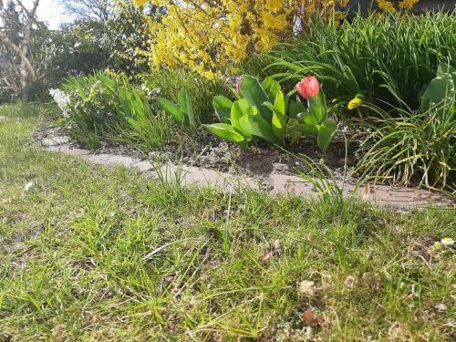 Apartamento Gartenblick Trebbin