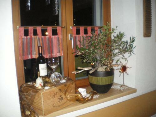 Hostal Pension Wilma