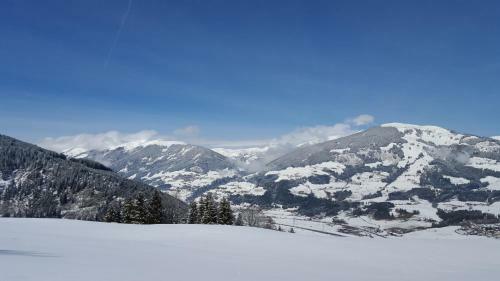 Hotel Wieser
