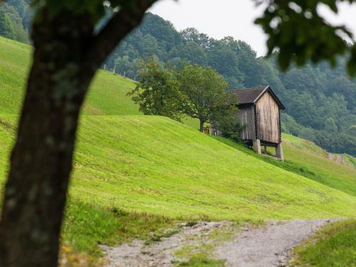 Apartamento Oberkranzhof
