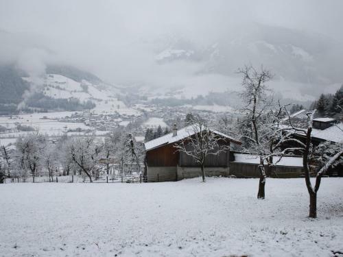 Apartamento Oberkranzhof