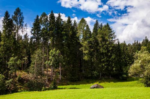 Agroturismo Biobauernhof Kleinummerstall