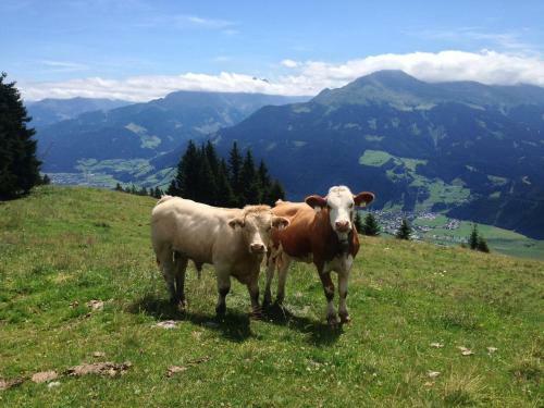 Agroturismo Biobauernhof Kleinummerstall