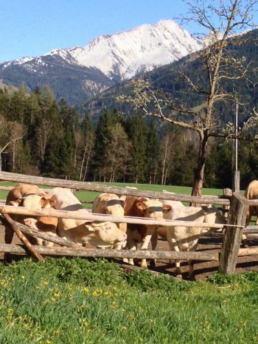Agroturismo Biobauernhof Kleinummerstall
