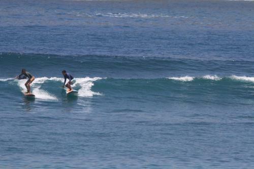 Bed & Breakfast Tropical Sunday Bungalow - Surf And Stay