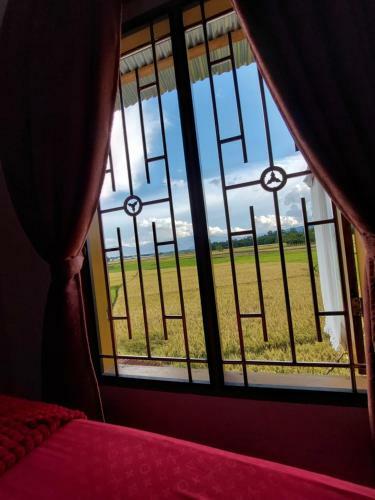 Mamaji Guest House