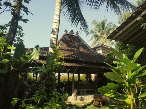 Omah Minggir