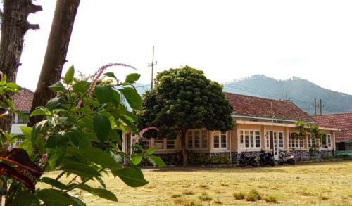 Bed & Breakfast Grand Ijen Premiere