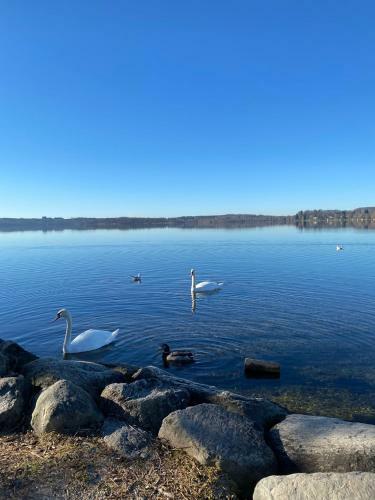 Apartamento Helle Souterrain Wohnung In Laufn�he Zum W�rthsee