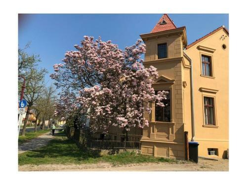 Apartamento Ferienwohnung Villa Magnolia