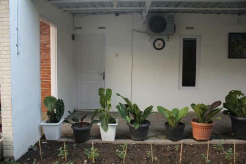 Hostal Omah Kebon Kalasan