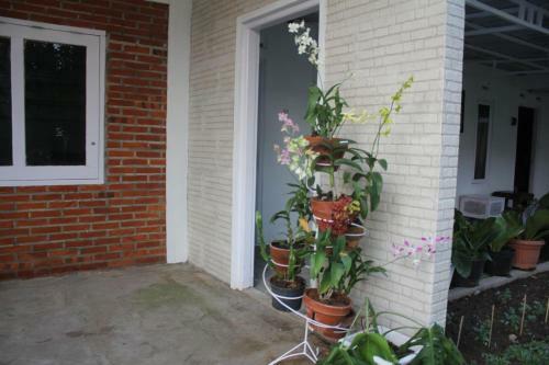 Hostal Omah Kebon Kalasan