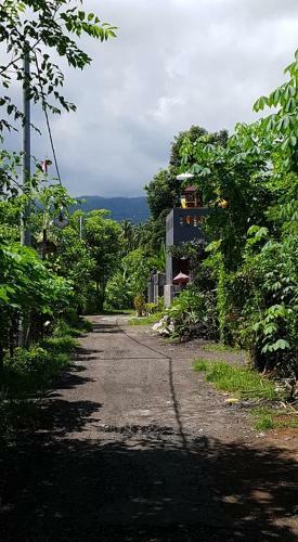 Hotel Mias Jungle House