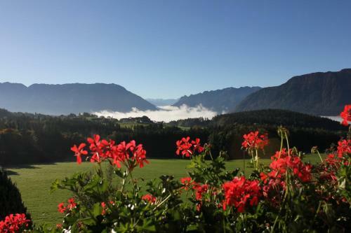Agroturismo Hainbuchhof