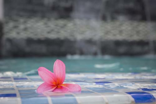 Hostal Secret Garden Warni Villa (muar)
