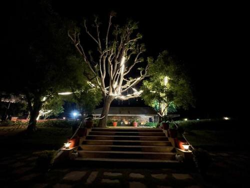 The Rustic Villa ,luxurious 2bhk Villa/farmstay With Pool In Jaipur