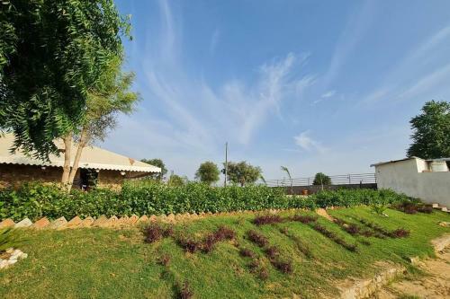 The Rustic Villa ,luxurious 2bhk Villa/farmstay With Pool In Jaipur