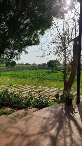The Rustic Villa ,luxurious 2bhk Villa/farmstay With Pool In Jaipur