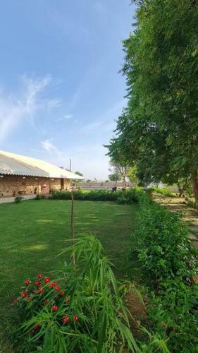 The Rustic Villa ,luxurious 2bhk Villa/farmstay With Pool In Jaipur