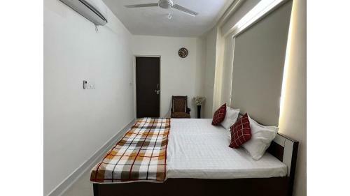 Hostel Ivory