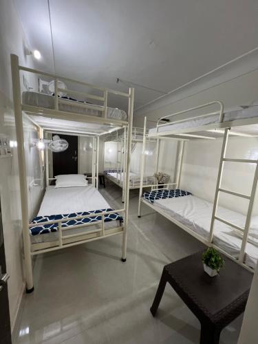 Hostel Ivory