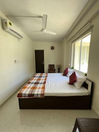 Hostel Ivory