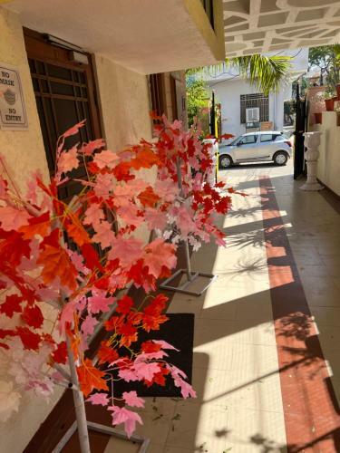 Hostal Padmini Place 114 Shankar Colony