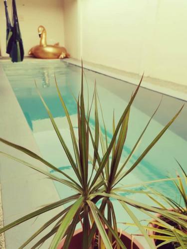 Apartamento Swimming Pool Party House