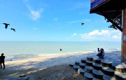 Ocean 16 ???? I Miami Beach I Biggroup I 6 Bedroom