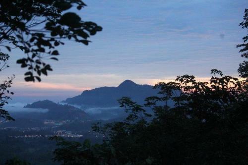 Gibbon Retreat Bentong