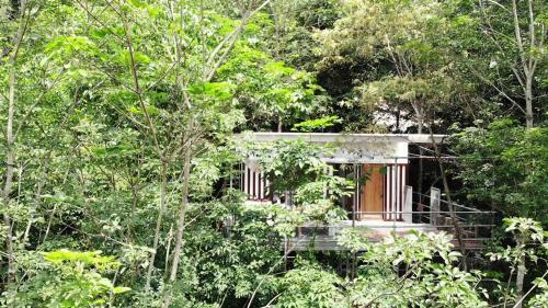 Gibbon Retreat Bentong