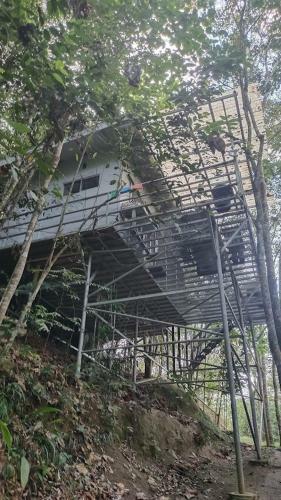 Gibbon Retreat Bentong