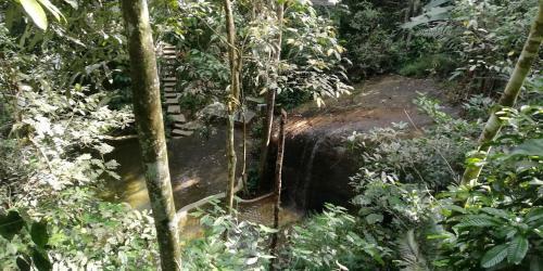 Gibbon Retreat Bentong