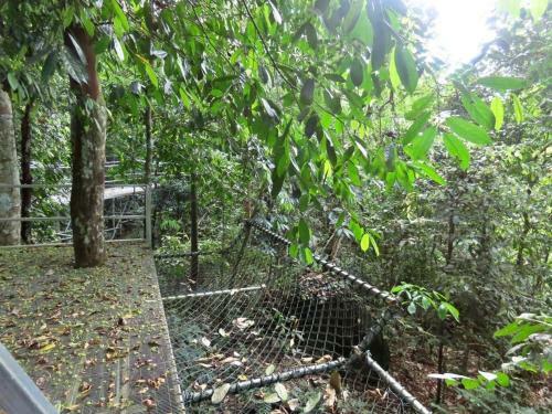 Gibbon Retreat Bentong