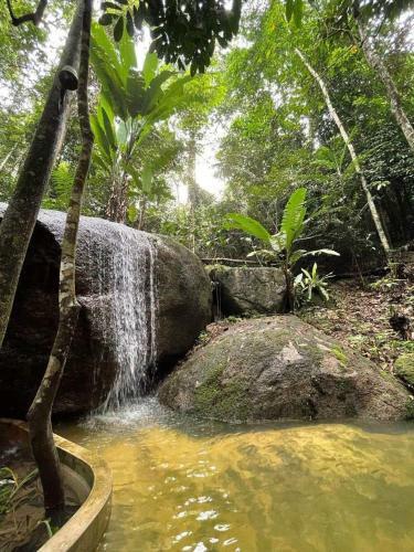Gibbon Retreat Bentong