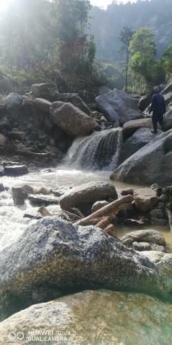 Gibbon Retreat Bentong