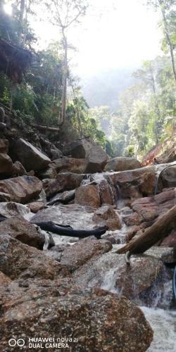 Gibbon Retreat Bentong