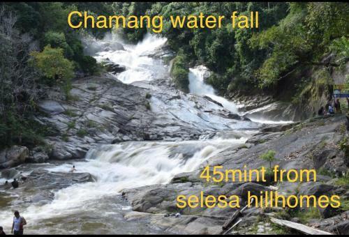 Selesa Hill Homestay