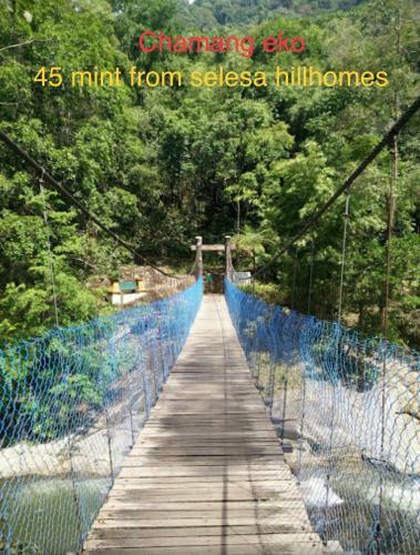 Selesa Hill Homestay