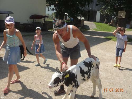 Hostal Gasthof Pension Rabl