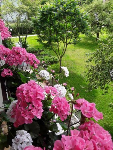 Apartamento G�stehaus Kuchernig