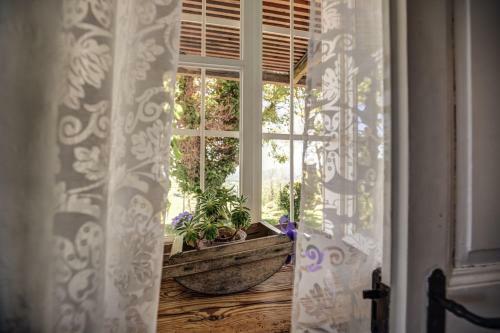 Winzarei, Weingut Tement