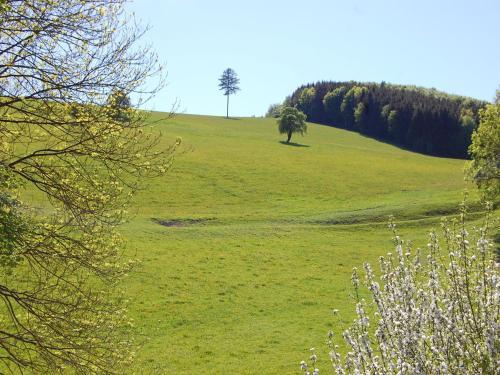 Holiday Home Wienerwald Kaumberg