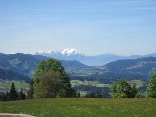 Hostal Gasthof Pension Hochlitten