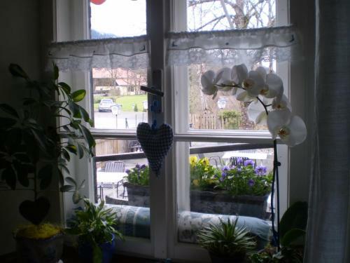 Hostal Gasthof Kreuz